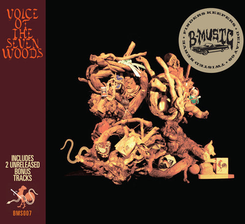 Voice Of The Seven Woods - Voice Of The Seven Woods - Music CD