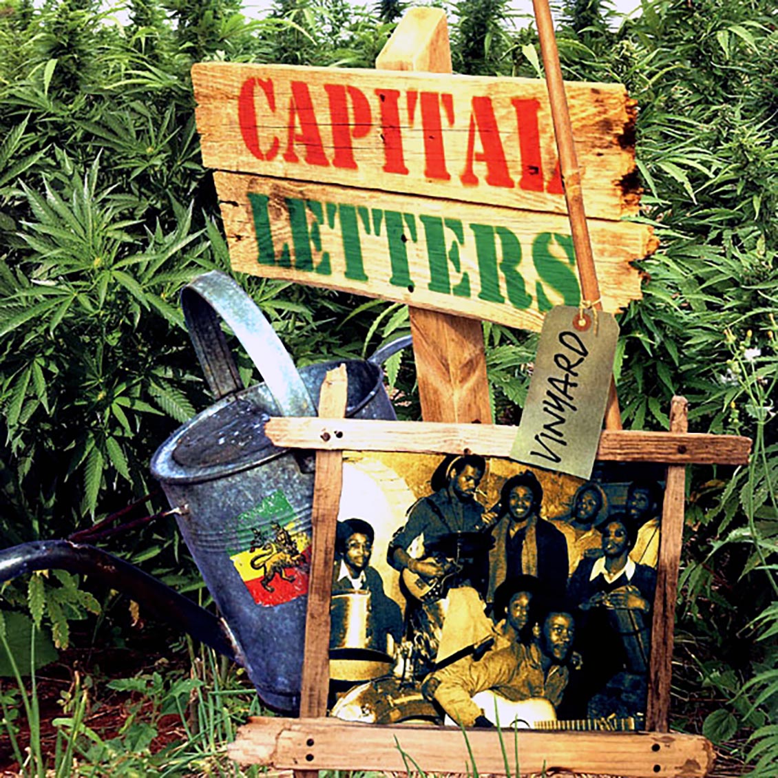Capital Letters - Vineyard Vinyl Record