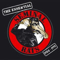 Seminal Rats - Essential Seminal Rats 1984-1991 - Music CD