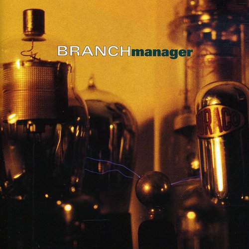 Branch Manager - Branch Manager - Music CD