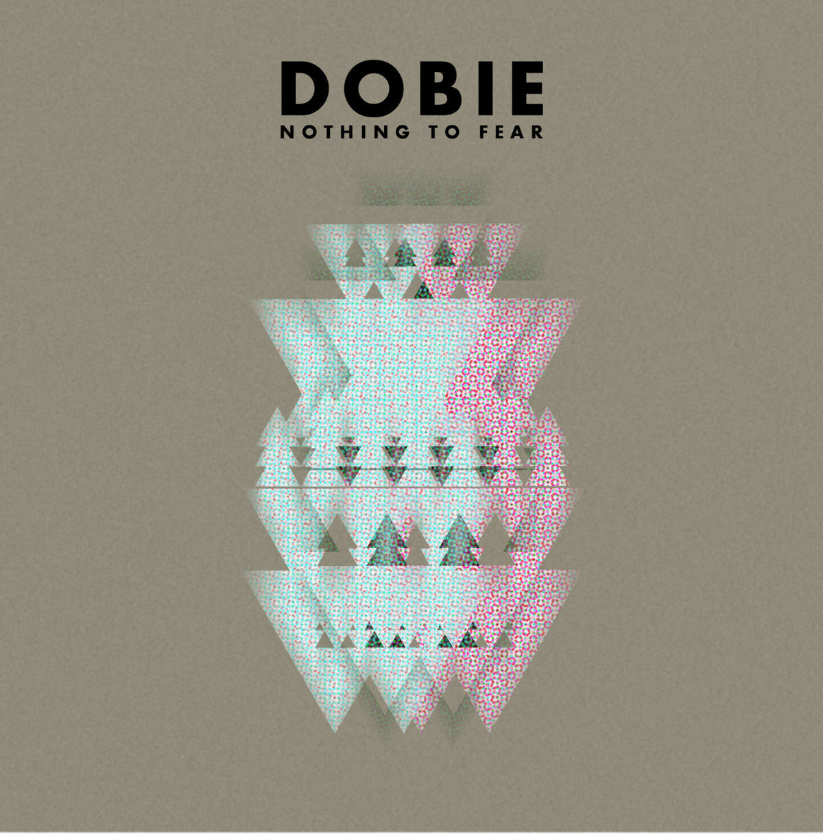 Nothing to Fear Vinyl Record