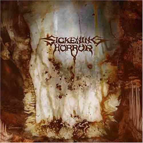 Sickening Horror - When Landscapes Bled Backwards - Music CD