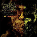 Visceral Bleeding - Absorbing The Disarray - Music CD