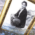 Courtenay,david - Eloquent Cool - Music CD