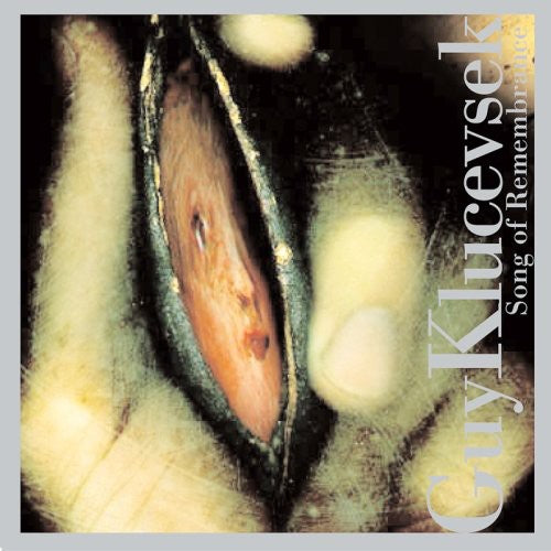 Klucevsek,guy - Song Of Remembrance - Music CD