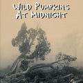 Wild Pumpkins At Midnight - Secret Of The Sad Tree - Music CD