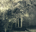 Noekk - Grimalkin - Music CD