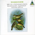 Tilgner - Blaukehlchen. Tilgner - Music CD