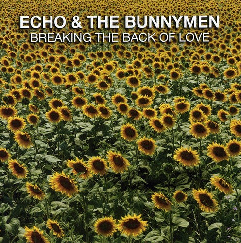 Echo & Bunnymen - Breaking The Back Of Love - Music CD