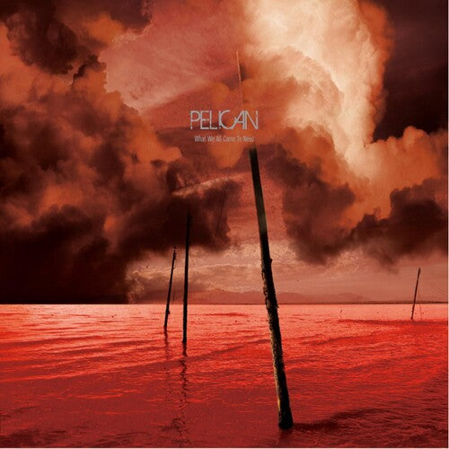 Pelican - What We All Come To Need - Music CD