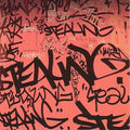 Funky Fresh Few - Stealing - Music CD