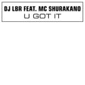Dj Lbr - U Got It - Vinyl Record