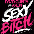 Guetta,david - Sexy Bitch (feat. Akon) - Vinyl Record