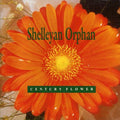 Shelleyan Orphan - Century Flower - Music CD