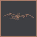 Bats & Mice - Bats & Mice - Music CD