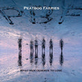 Peatbog Faeries - What Men Deserve To Lose - Music CD