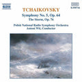 Tchaikovsky / Wit / Polish Nrso - Symphony 5 / Storm - Music CD