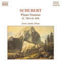 Schubert / Jando - Piano Sonatas 784 & 894 - Music CD