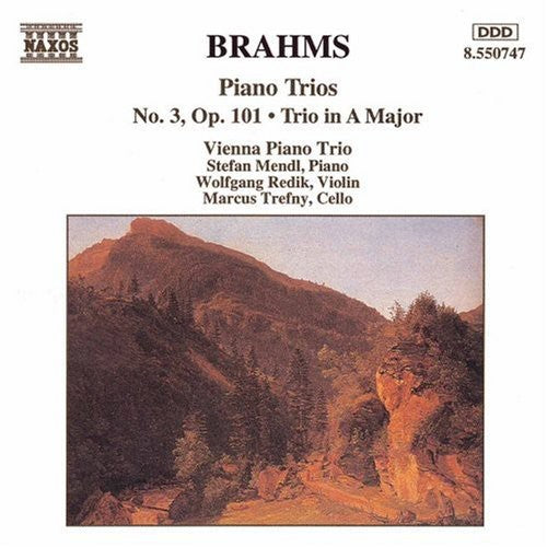 Brahms / Vienna Piano Trio - Piano Trios - Music CD