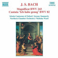 Bach,j.s. / Summerly / Schola Cantorum Of Oxford - Magnificat / Ich Habe Genug Cantata - Music CD