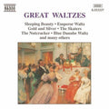 Great Waltzes / Various - Great Waltzes / Various - Music CD