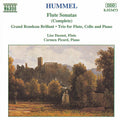Hummel / Picard / Daoust - Flute Sonatas - Music CD
