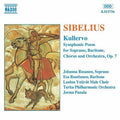 Sibelius / Panula / Turku Philharmonic Orchestra - Kullervo - Music CD