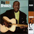 Broonzy,big Bill - Black Brown & White - Music CD
