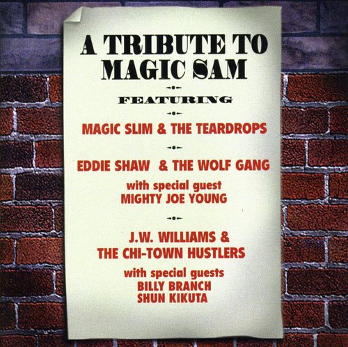 Tribute To Magic Sam / Various - Tribute To Magic Sam / Various - Music CD