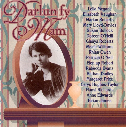 Darlun Fy Mam-welsh Solos & Folk Songs / Various - Darlun Fy Mam-welsh Solos & Folk Songs / Various - Music CD