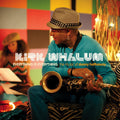 Whalum,kirk - Everything Is Everything: The Music Of Donna - Music CD