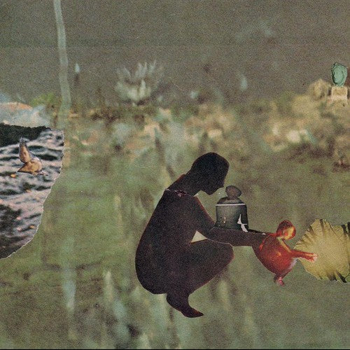 Psycho & Birds - We've Moved - Music CD