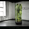 Twin Atlantic - Vivarium - Music CD