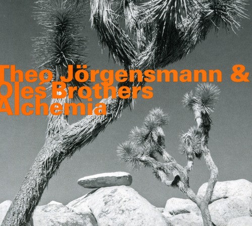 Jorgensmann,theo - Alchemia - Music CD