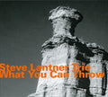Lacy,steve - What You Can Throw - Music CD