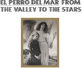 El Perro Del Mar - From The Valley To The Stars - Music CD