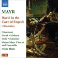 Mayr / Horak / Ichihara / Duffe / Simon - David In Spelunca Engaddi - Music CD