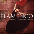 Amador,andres Fernandez - Absolute Flamenco - Music CD