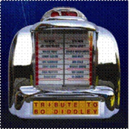 Tribute To Bo Diddley - Tribute To Bo Diddley - Music CD