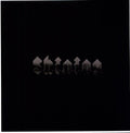 Shining - Shining - Vinyl Record