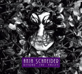 Schneider,anja - Beyond The Valley - Vinyl Record