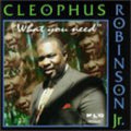 Robinson,rev Cleophus - What You Need - Music CD