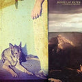 Bodies Of Water - Certain Feeling - Vinyl Record