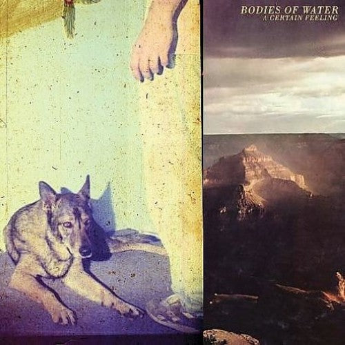 Bodies Of Water - Certain Feeling - Vinyl Record
