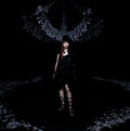 Yosei Teikoku - Schwarzer Sarg