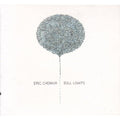 Dull Lights [LP] Vinyl Record