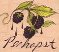 Perhapst - Perhapst - Music CD