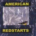 Sigismondi,paul - American Redstarts - Music CD