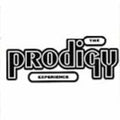 Prodigy - Experience - Vinyl Record