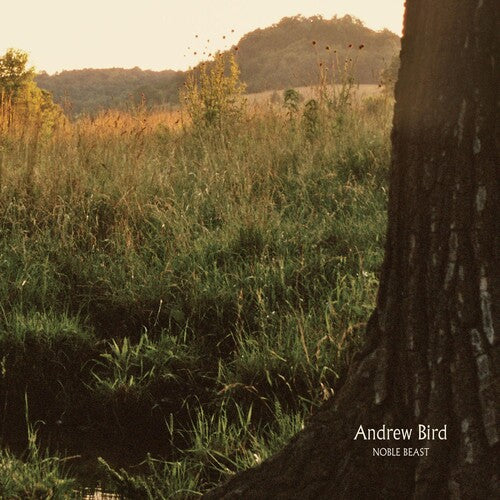 Bird,andrew - Noble Beast - Music CD